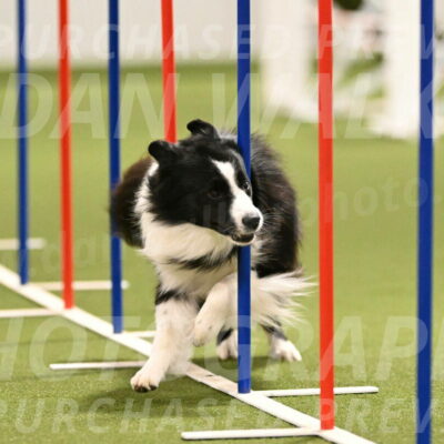 Cyrus-Kirra-Yanchilk-02287