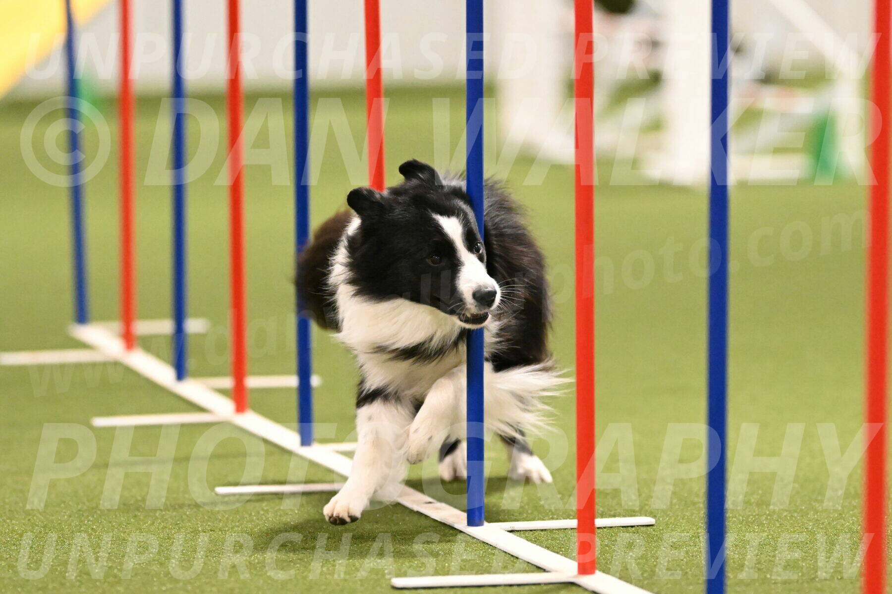 Cyrus-Kirra-Yanchilk-02287