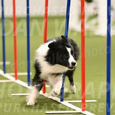 Cyrus-Kirra-Yanchilk-02288