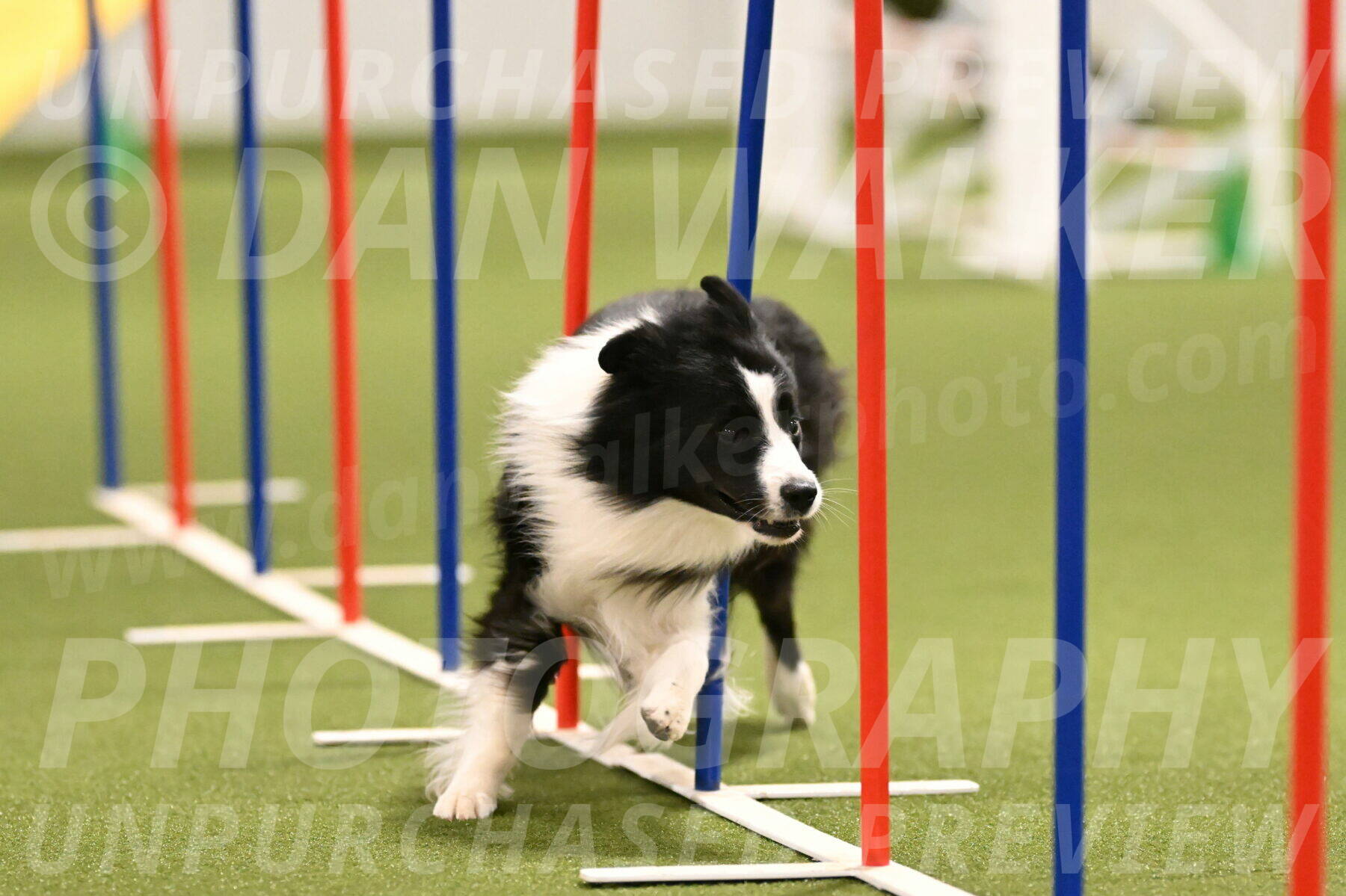 Cyrus-Kirra-Yanchilk-02288