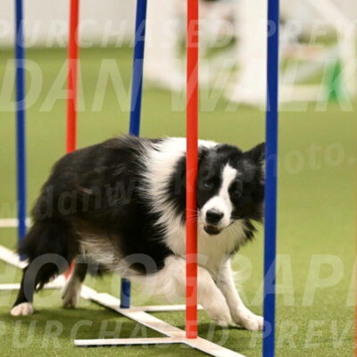 Cyrus-Kirra-Yanchilk-02289