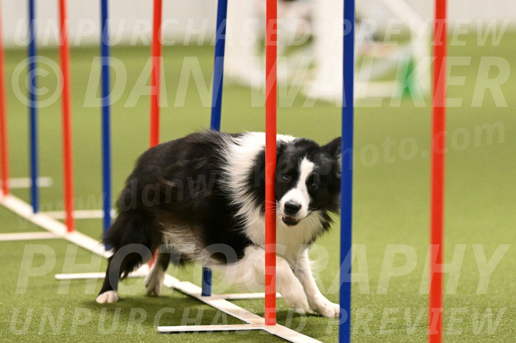 Cyrus-Kirra-Yanchilk-02289