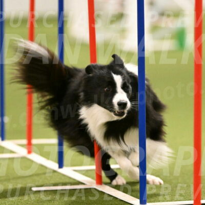 Cyrus-Kirra-Yanchilk-02290