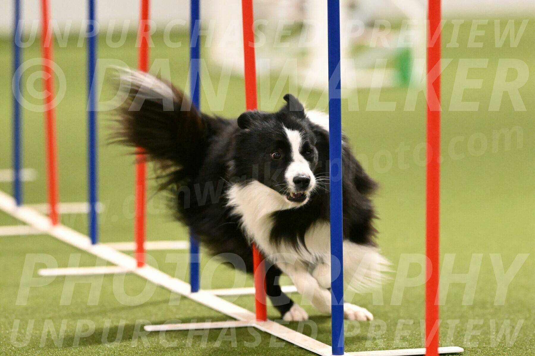 Cyrus-Kirra-Yanchilk-02290