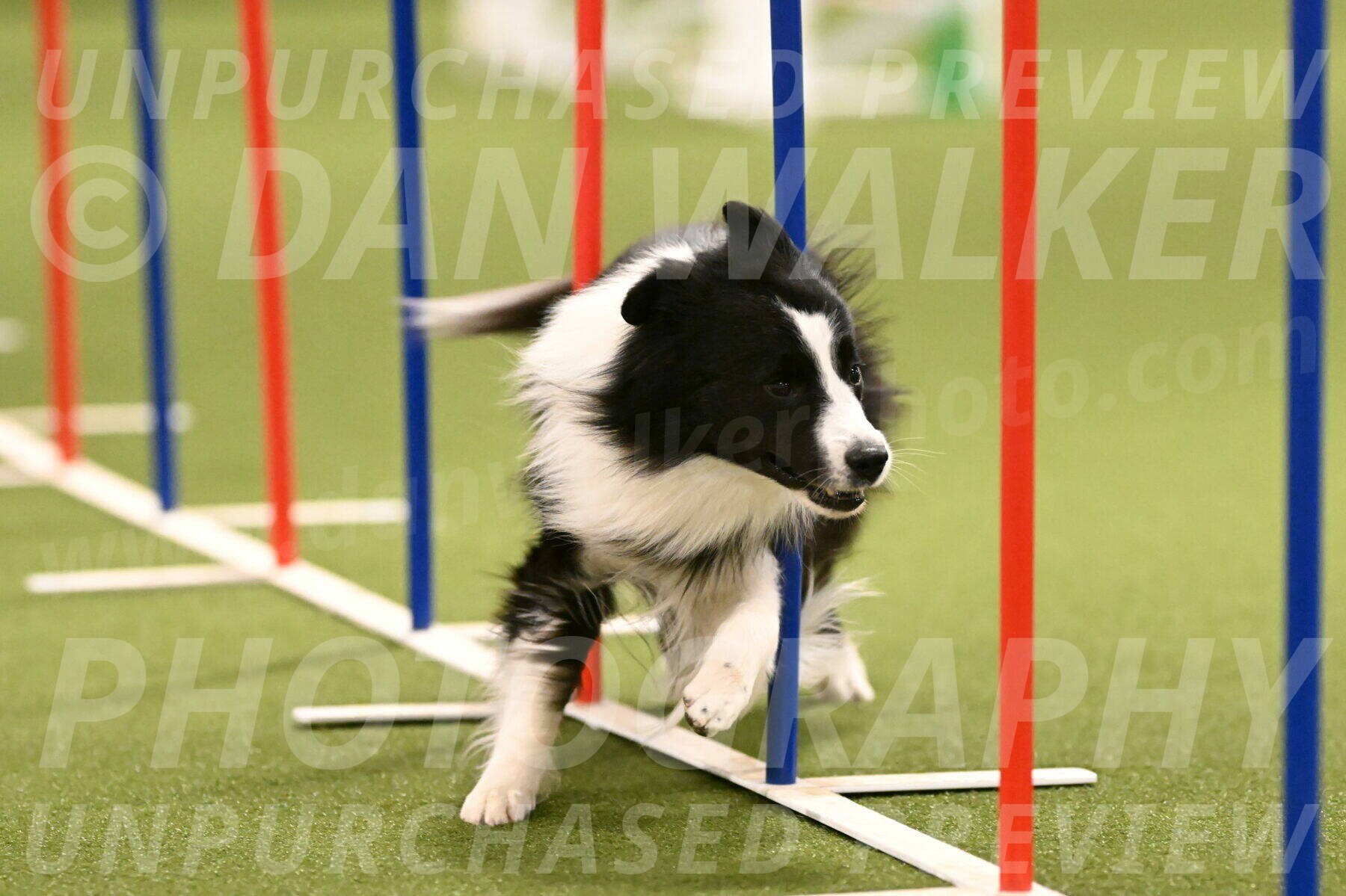 Cyrus-Kirra-Yanchilk-02291