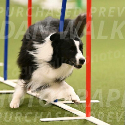 Cyrus-Kirra-Yanchilk-02292