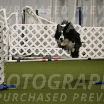 Cyrus-Kirra-Yanchilk-02295