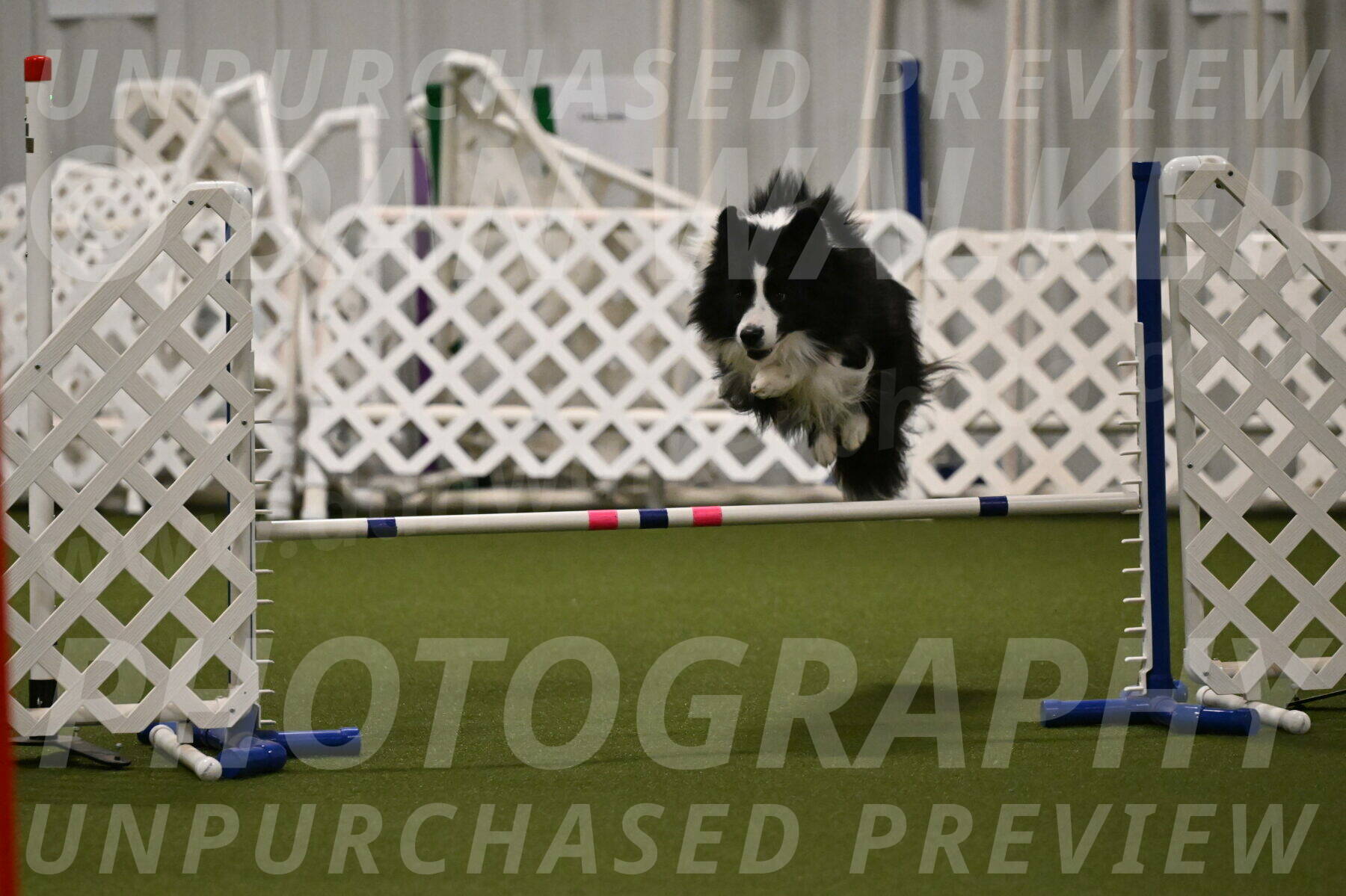 Cyrus-Kirra-Yanchilk-02295