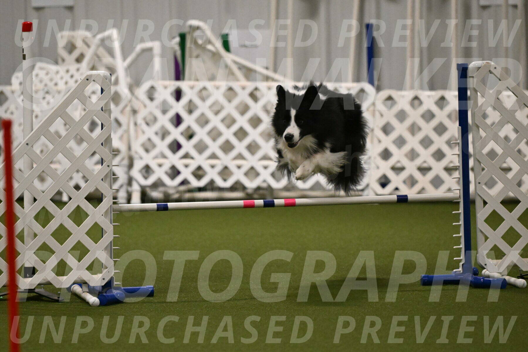 Cyrus-Kirra-Yanchilk-02296