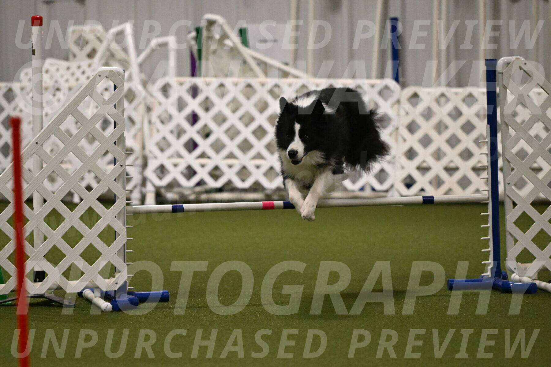 Cyrus-Kirra-Yanchilk-02297