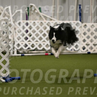 Cyrus-Kirra-Yanchilk-02297