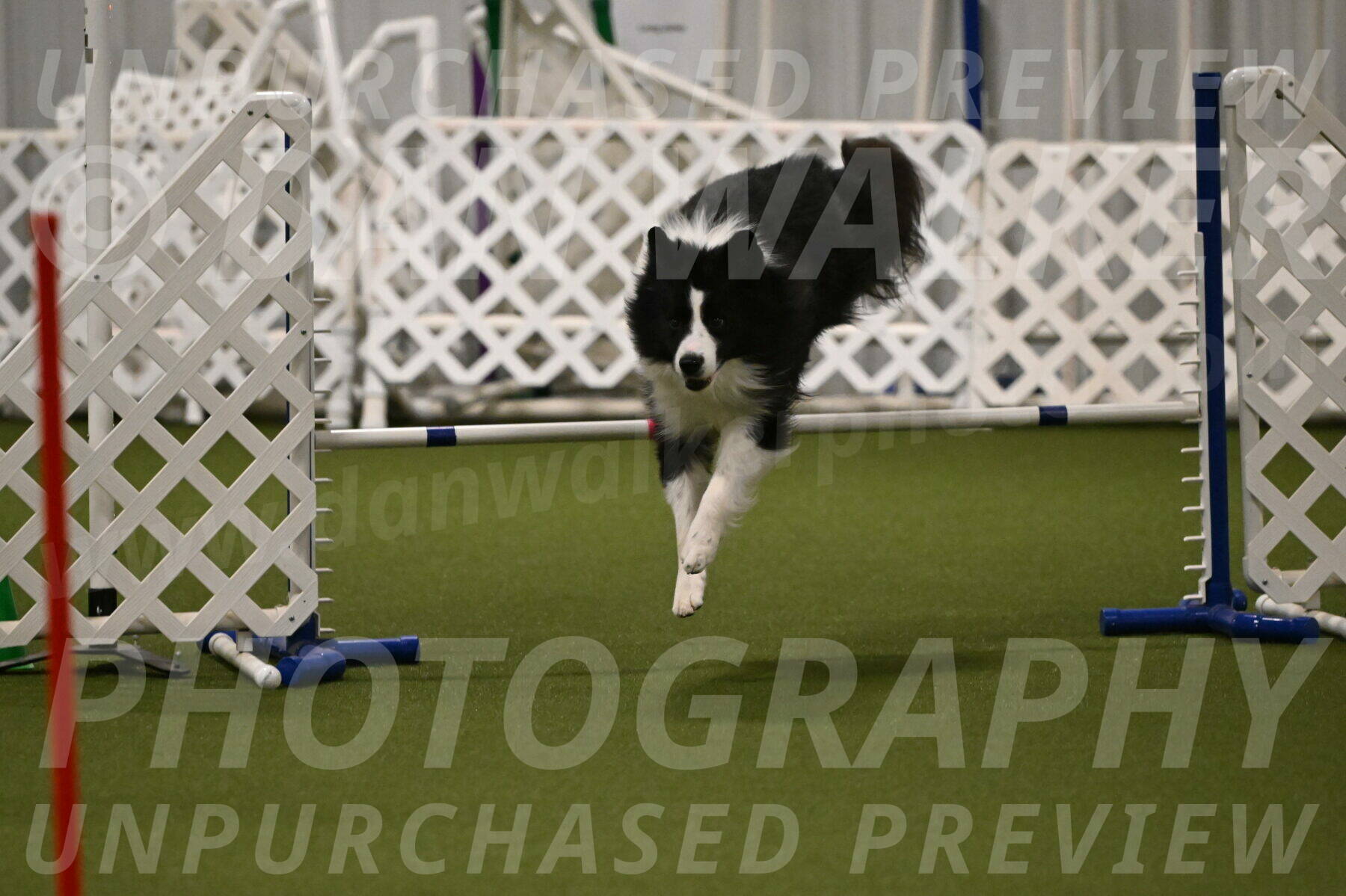 Cyrus-Kirra-Yanchilk-02298