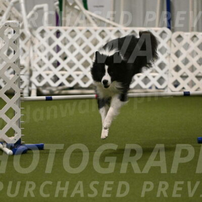 Cyrus-Kirra-Yanchilk-02298