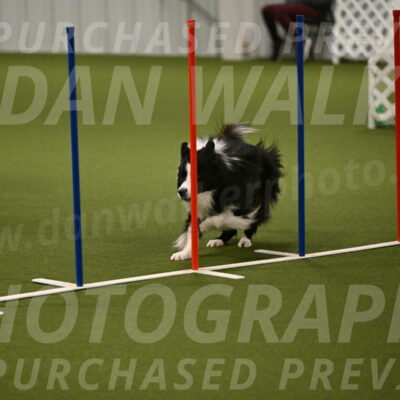 Cyrus-Kirra-Yanchilk-02299