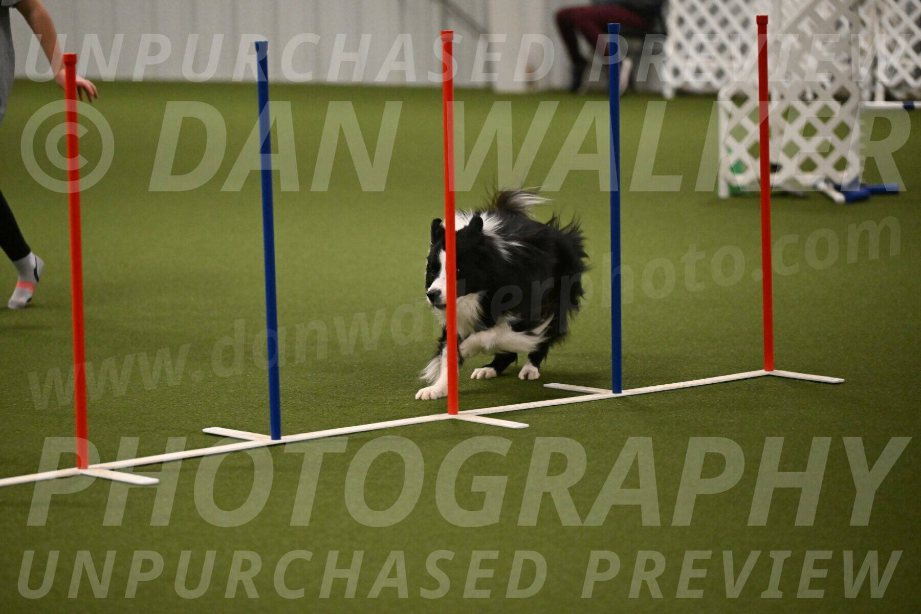 Cyrus-Kirra-Yanchilk-02299