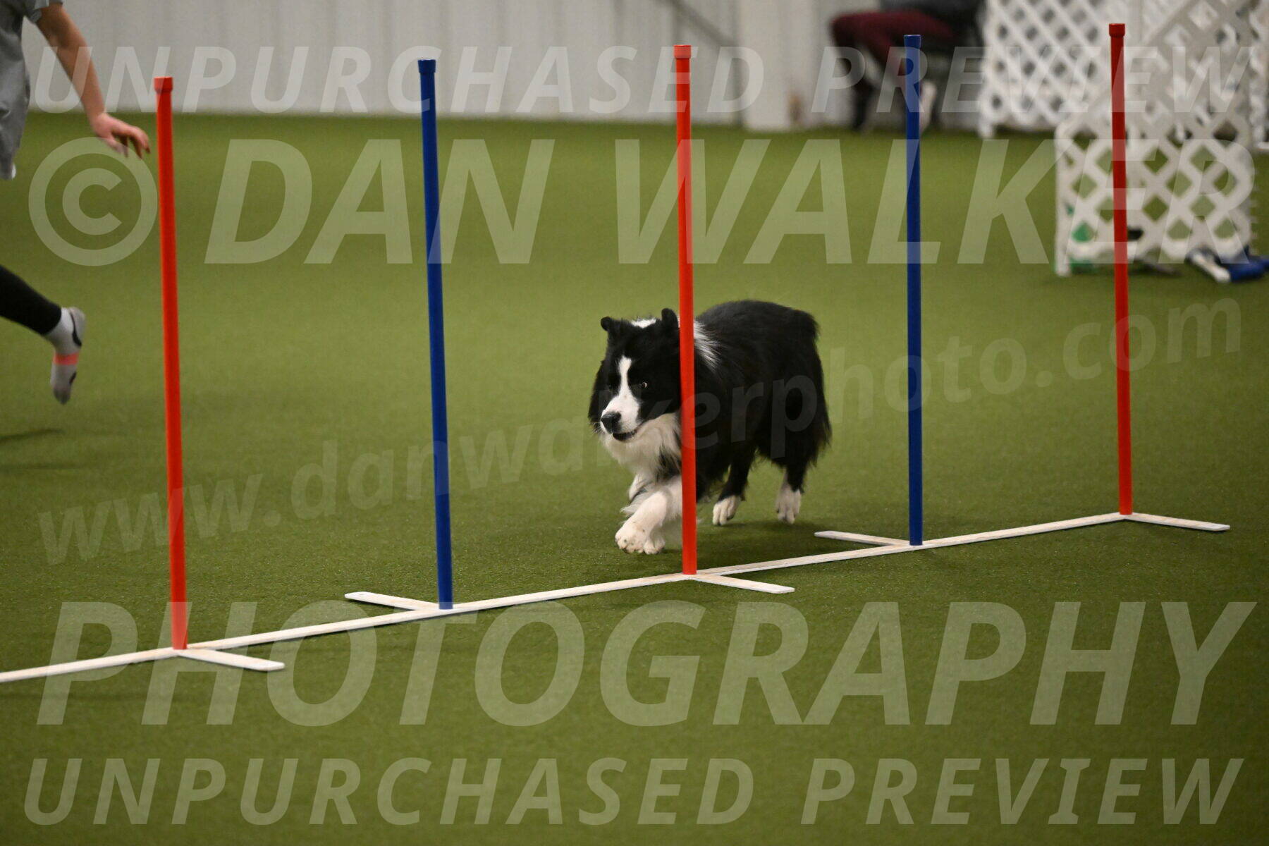 Cyrus-Kirra-Yanchilk-02300