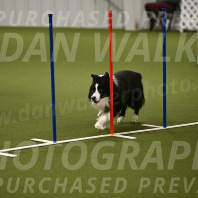 Cyrus-Kirra-Yanchilk-02300