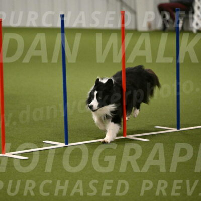 Cyrus-Kirra-Yanchilk-02301