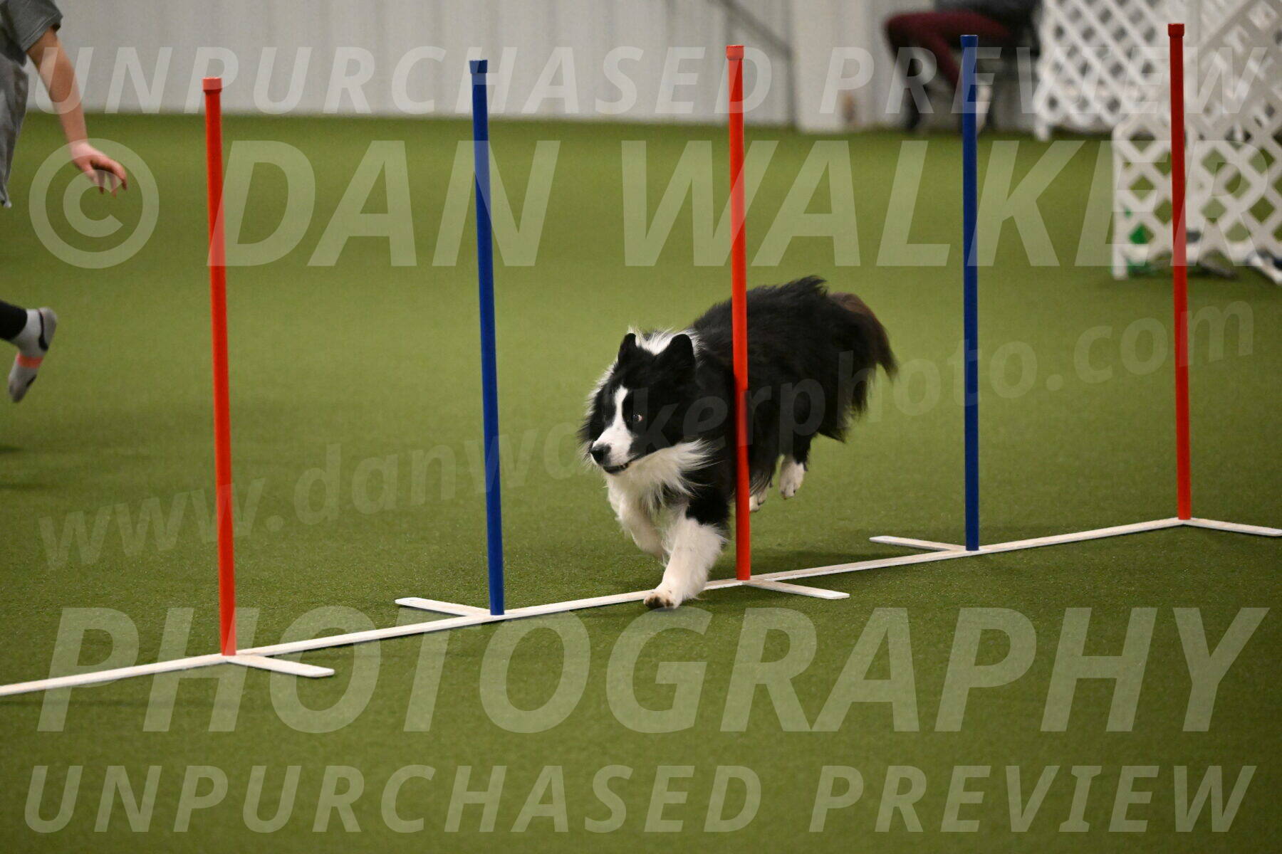 Cyrus-Kirra-Yanchilk-02301