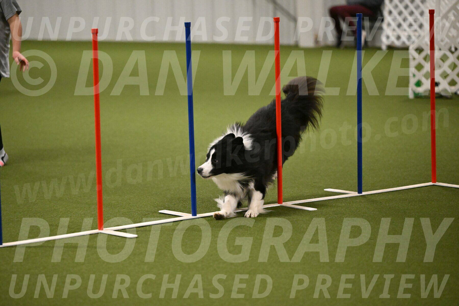 Cyrus-Kirra-Yanchilk-02302