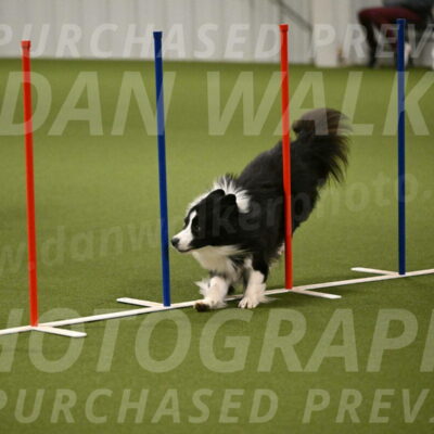 Cyrus-Kirra-Yanchilk-02302