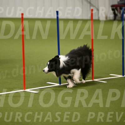 Cyrus-Kirra-Yanchilk-02303