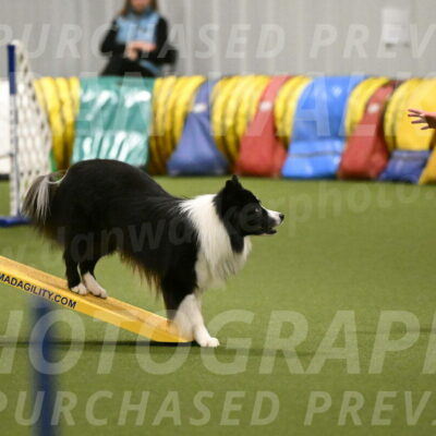 Cyrus-Kirra-Yanchilk-02306