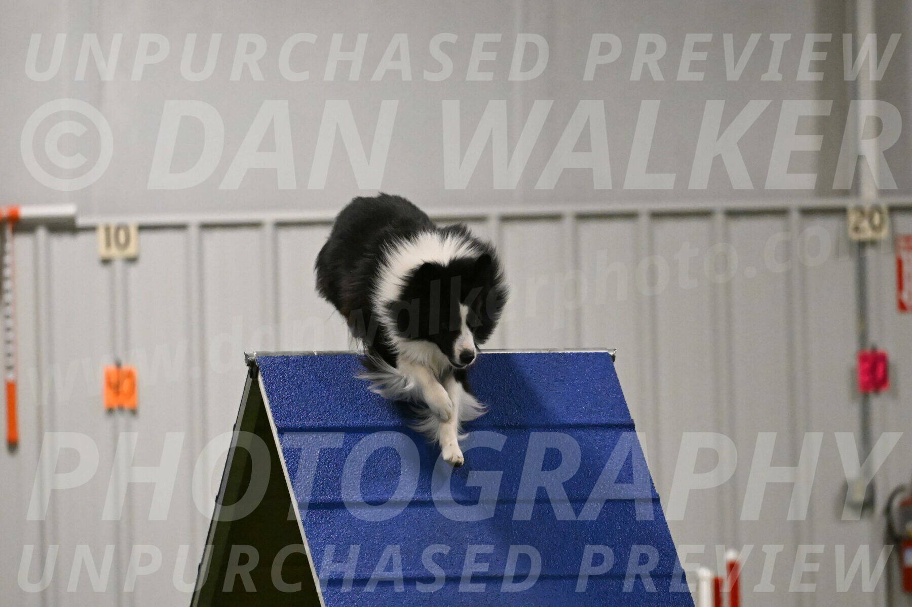 Cyrus-Kirra-Yanchilk-02307