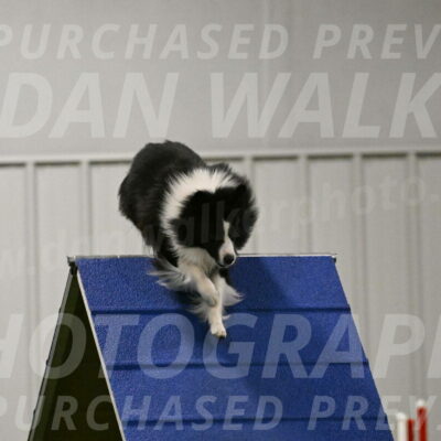 Cyrus-Kirra-Yanchilk-02307