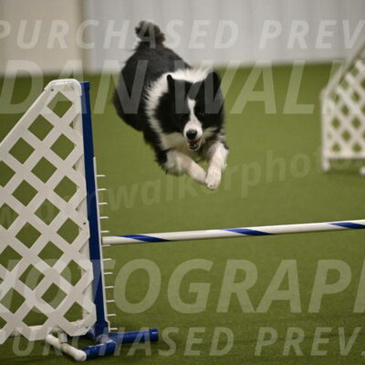 Cyrus-Kirra-Yanchilk-02310