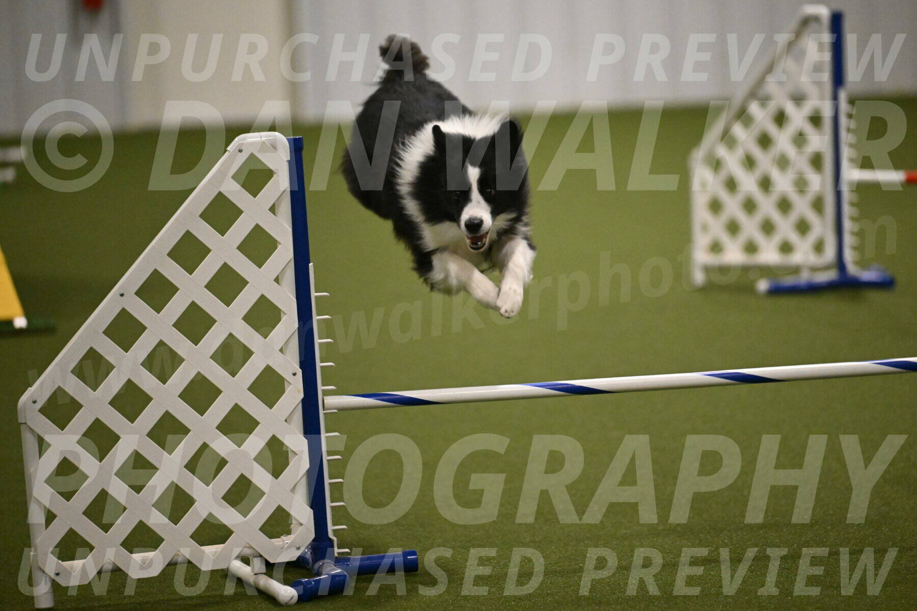 Cyrus-Kirra-Yanchilk-02310