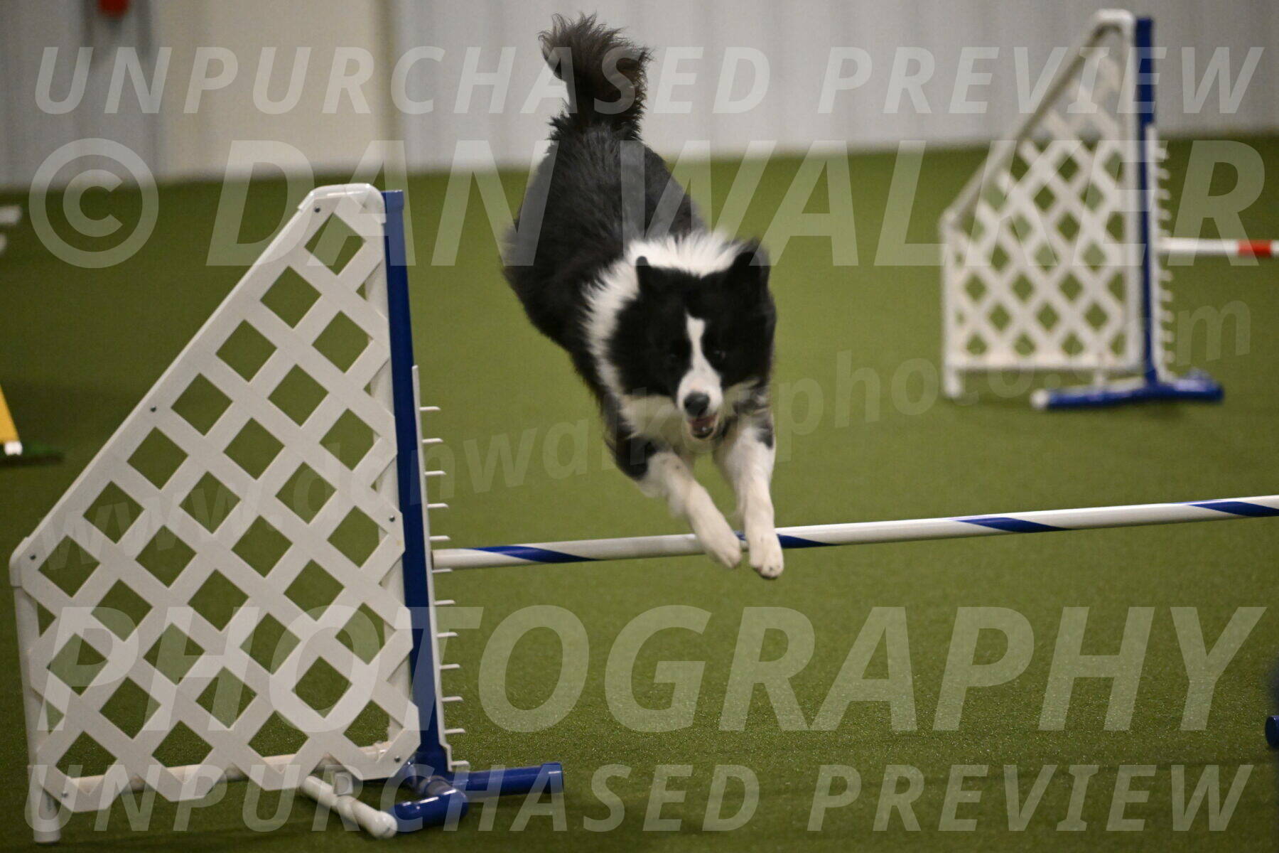 Cyrus-Kirra-Yanchilk-02311