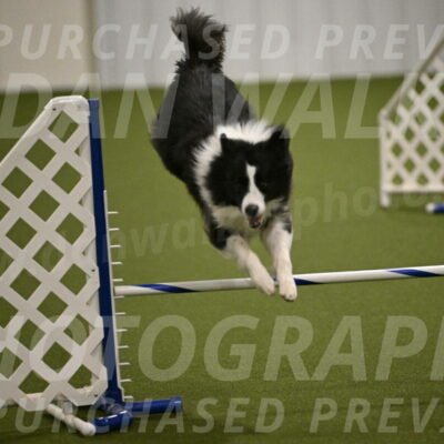 Cyrus-Kirra-Yanchilk-02311