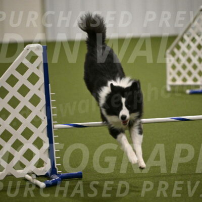 Cyrus-Kirra-Yanchilk-02312