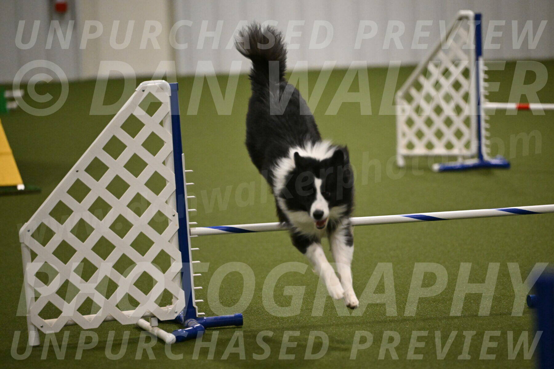 Cyrus-Kirra-Yanchilk-02312