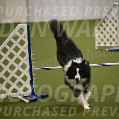 Cyrus-Kirra-Yanchilk-02313