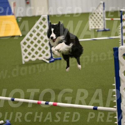 Cyrus-Kirra-Yanchilk-02314