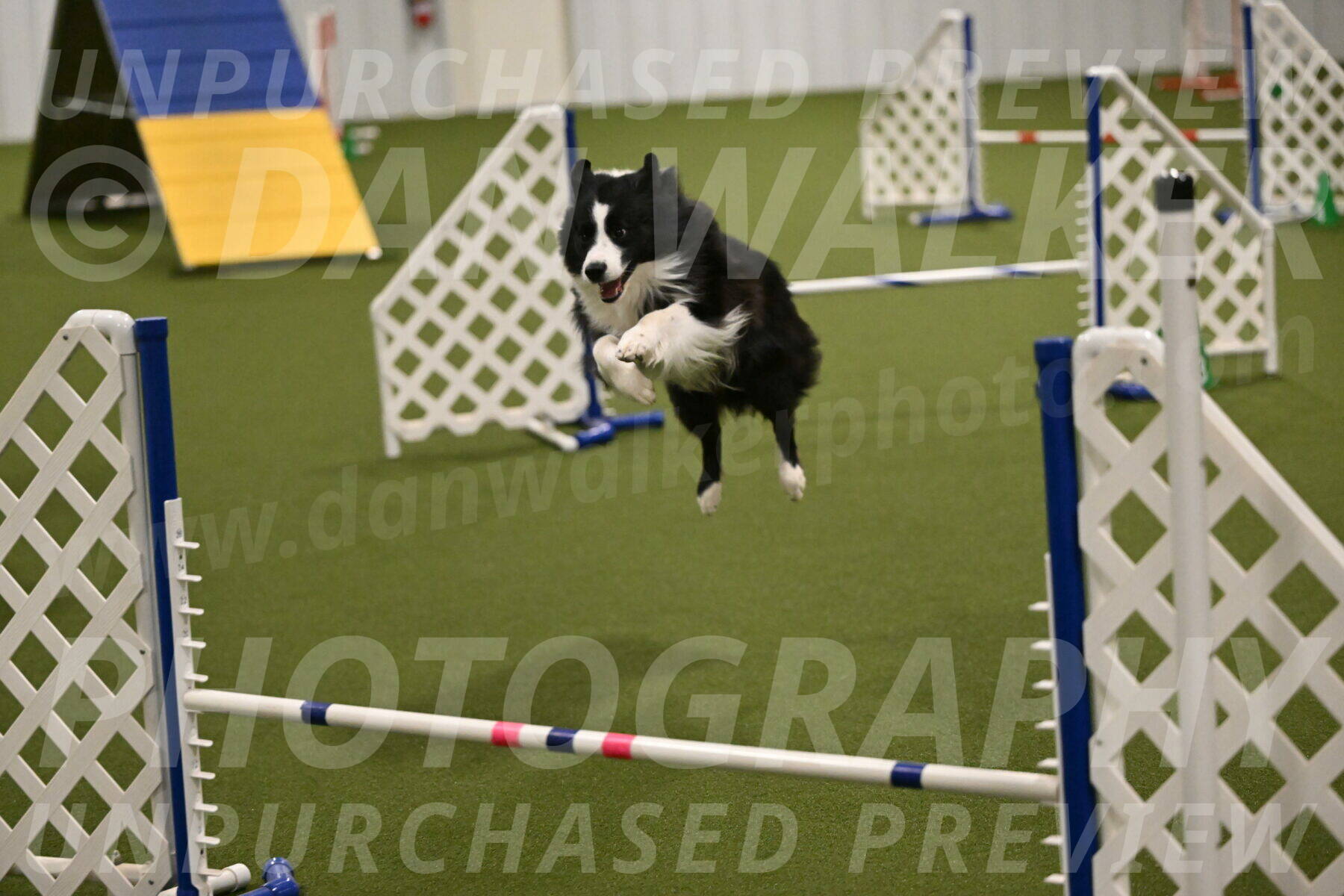 Cyrus-Kirra-Yanchilk-02314