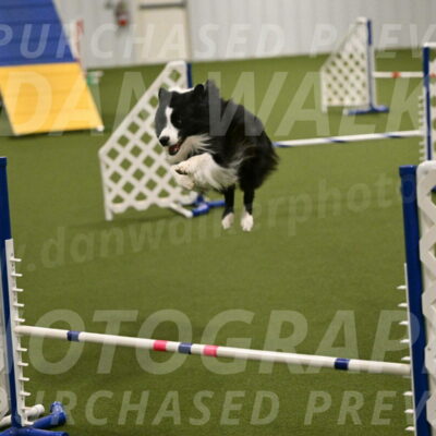 Cyrus-Kirra-Yanchilk-02315