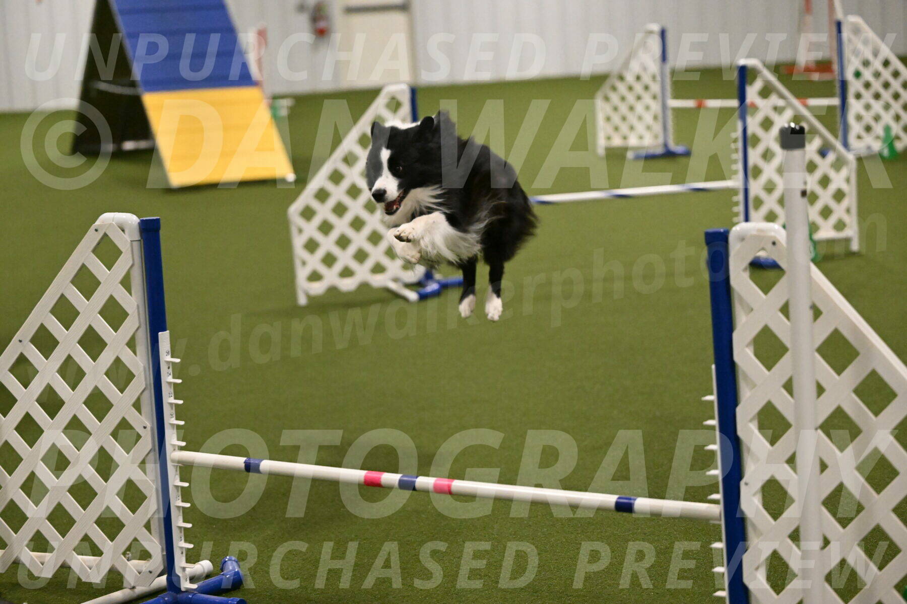 Cyrus-Kirra-Yanchilk-02315