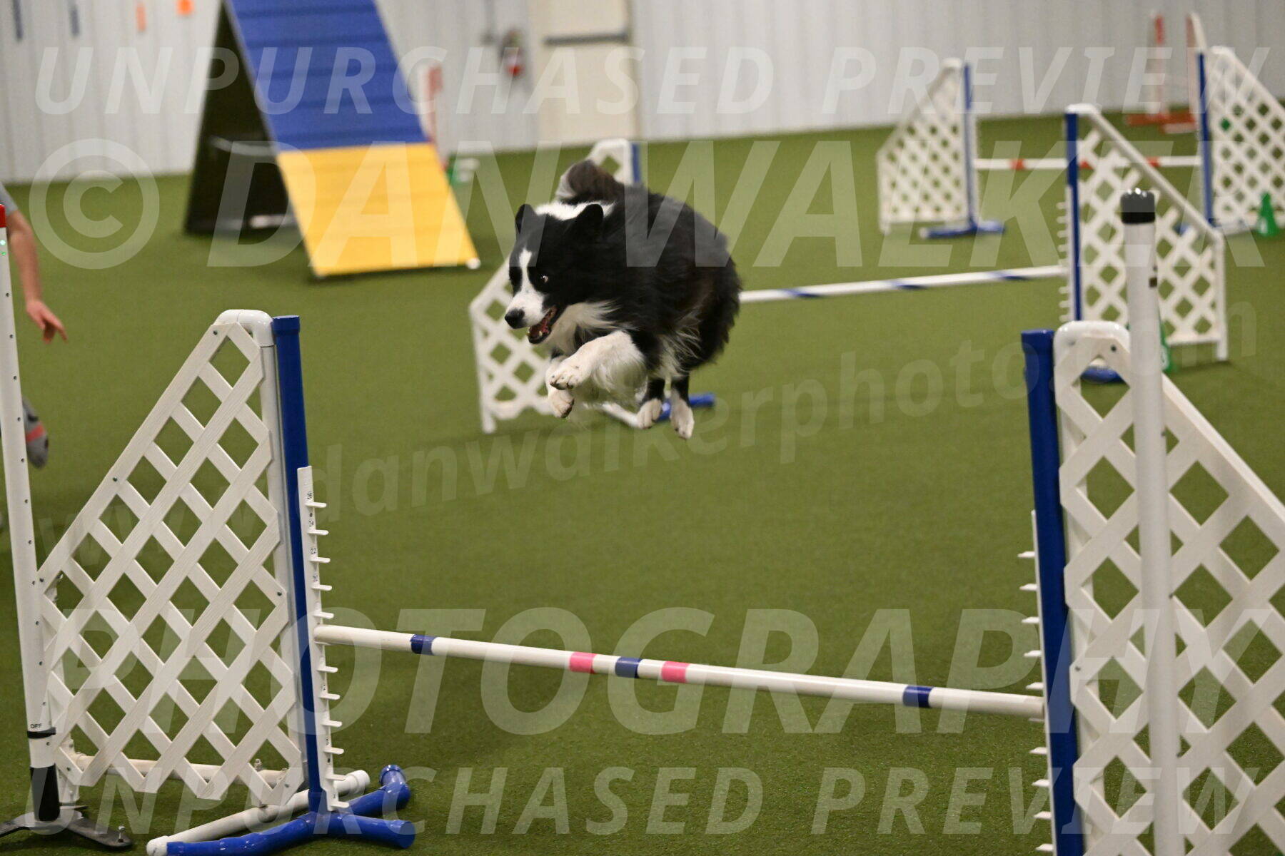 Cyrus-Kirra-Yanchilk-02316