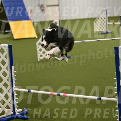 Cyrus-Kirra-Yanchilk-02316