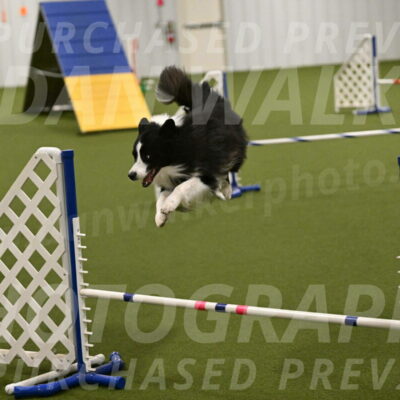 Cyrus-Kirra-Yanchilk-02317