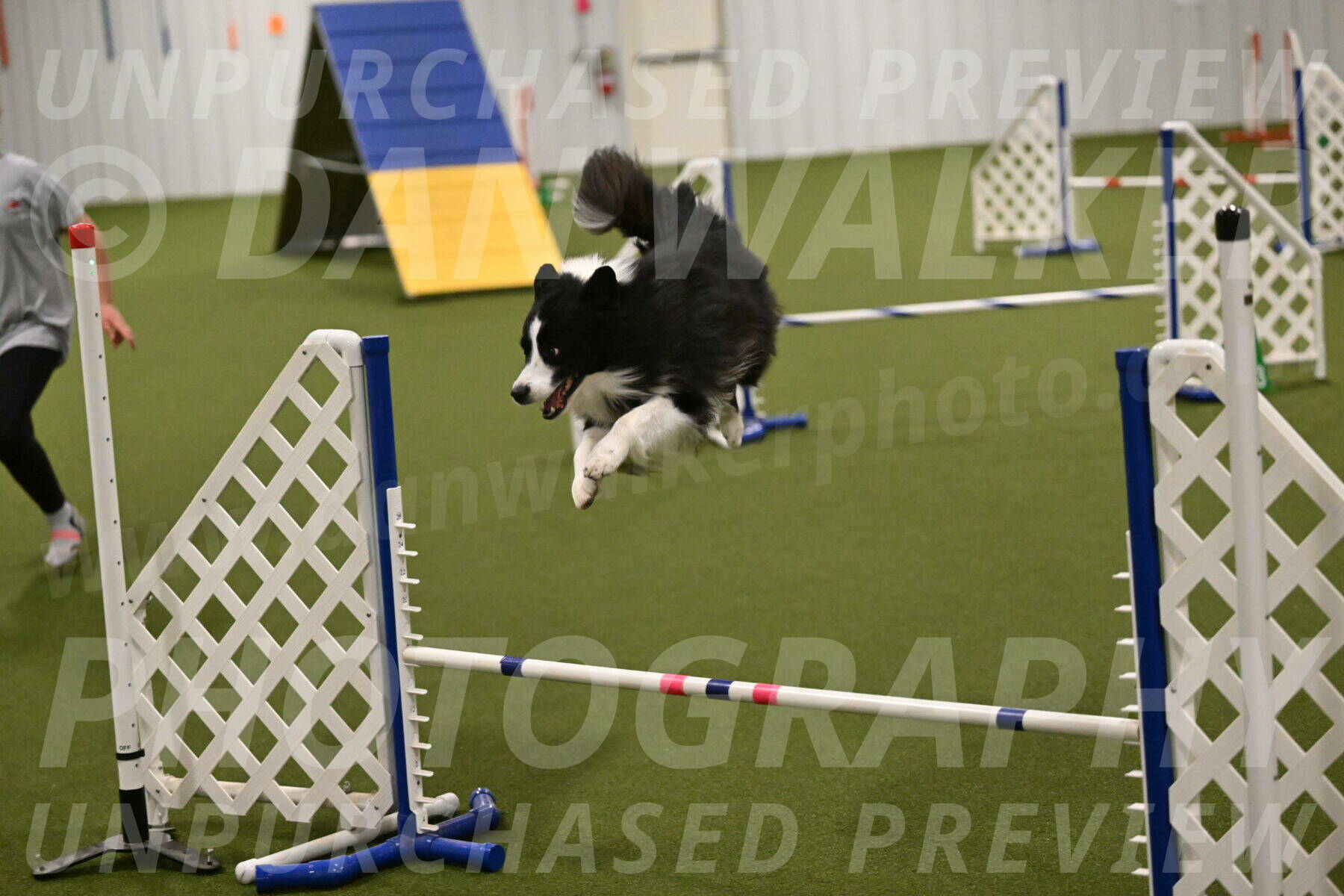 Cyrus-Kirra-Yanchilk-02317