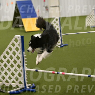 Cyrus-Kirra-Yanchilk-02318