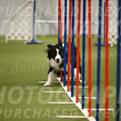 Cyrus-Kirra-Yanchilk-02319