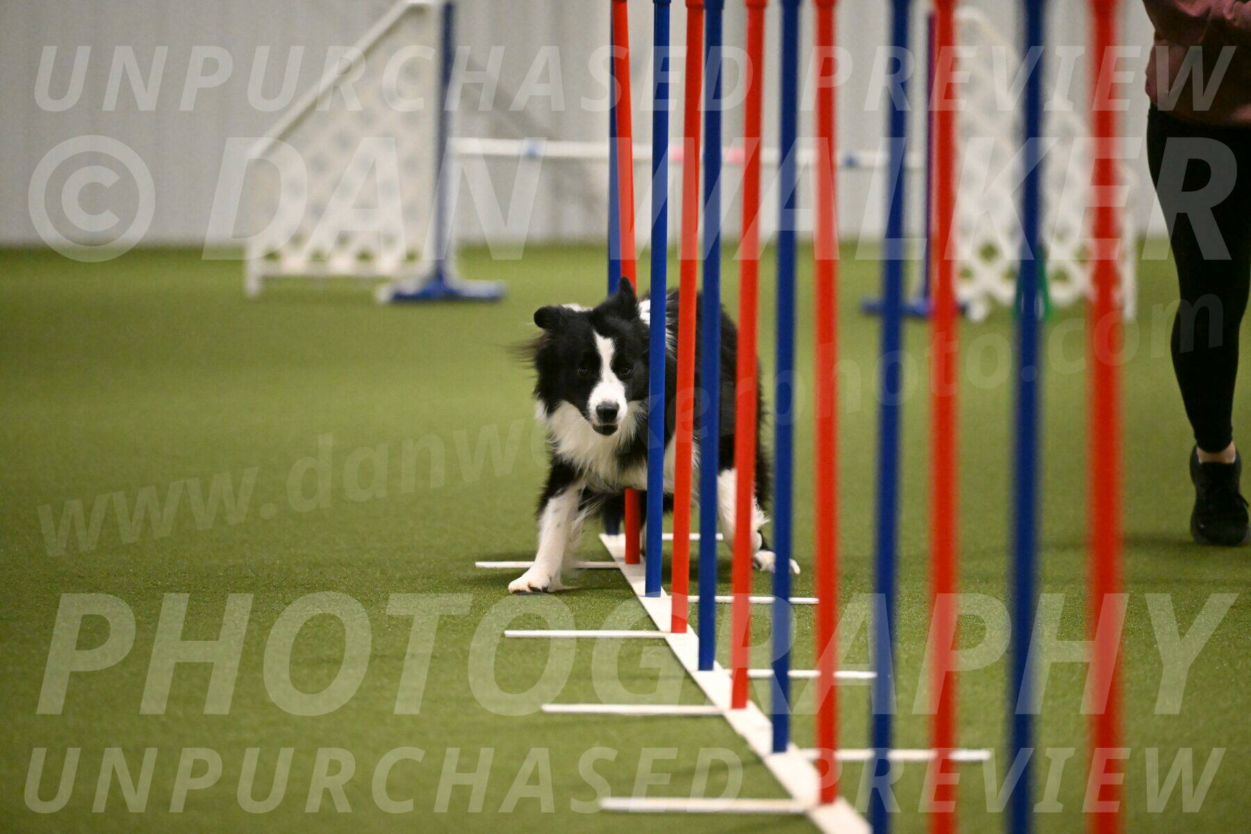 Cyrus-Kirra-Yanchilk-02319