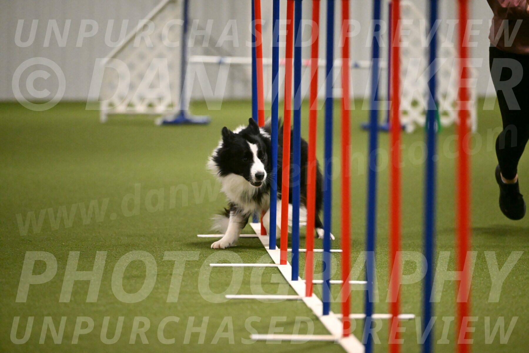 Cyrus-Kirra-Yanchilk-02320