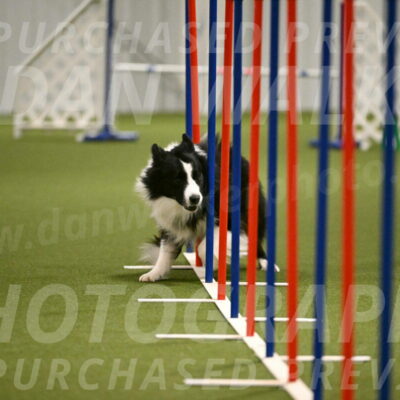 Cyrus-Kirra-Yanchilk-02320