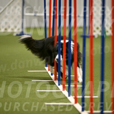 Cyrus-Kirra-Yanchilk-02321